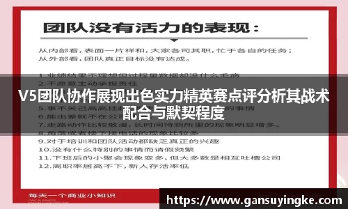 V5团队协作展现出色实力精英赛点评分析其战术配合与默契程度